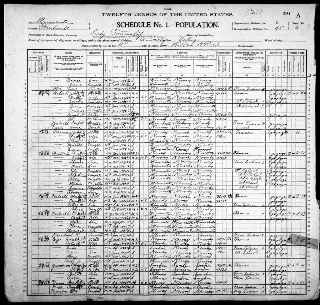 From the 1900 US Census, Seely Township, Faribault County