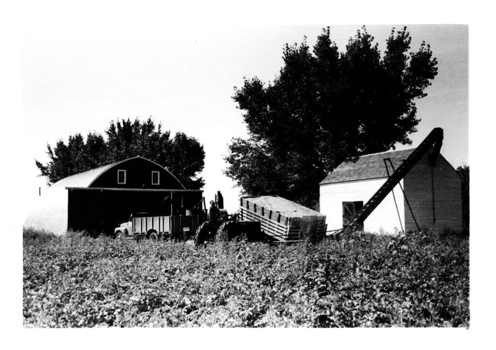 Henry Dahl farm